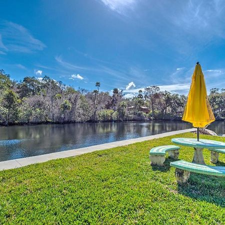 Withlacoochee River House With Dock And Kayaks! Yankeetown エクステリア 写真