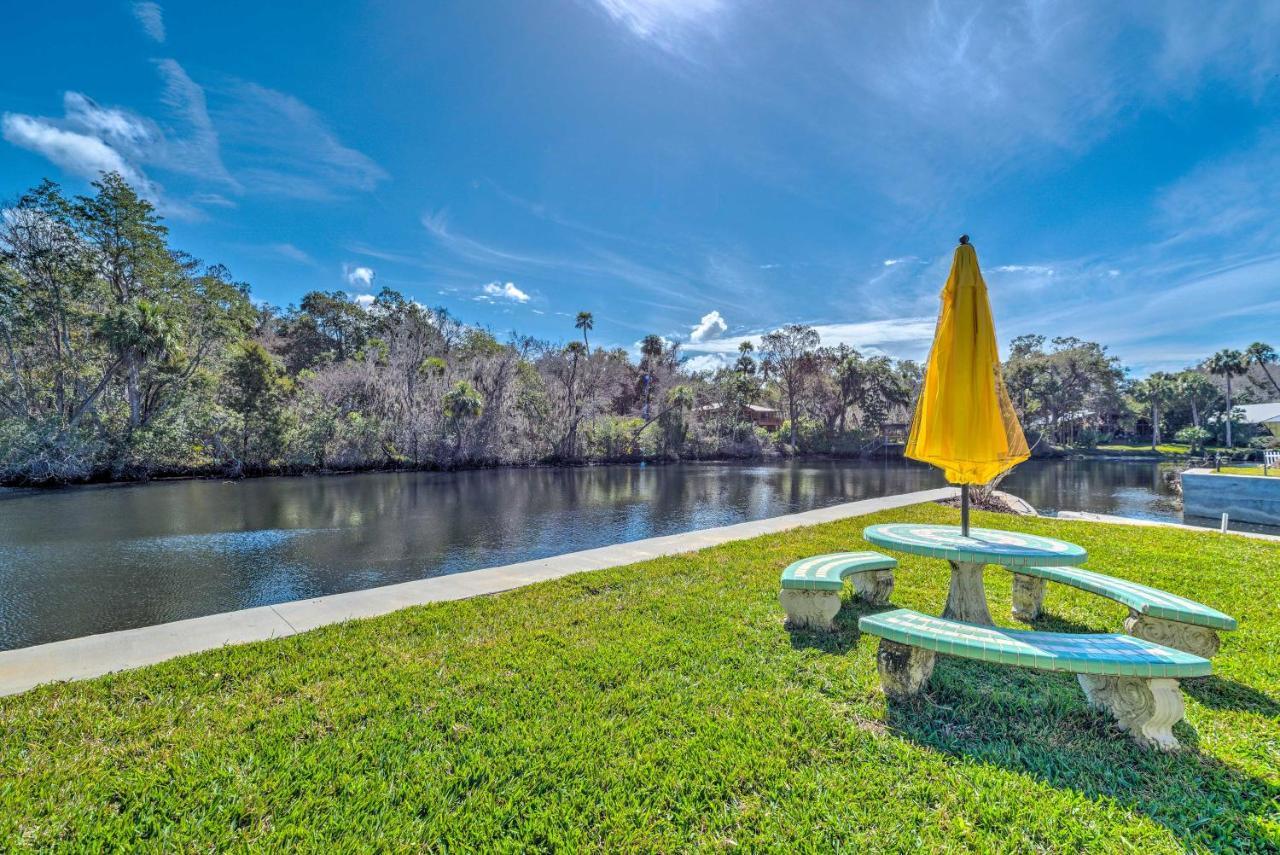 Withlacoochee River House With Dock And Kayaks! Yankeetown エクステリア 写真